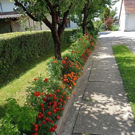 Apartman Skudar Бьеловар Экстерьер фото