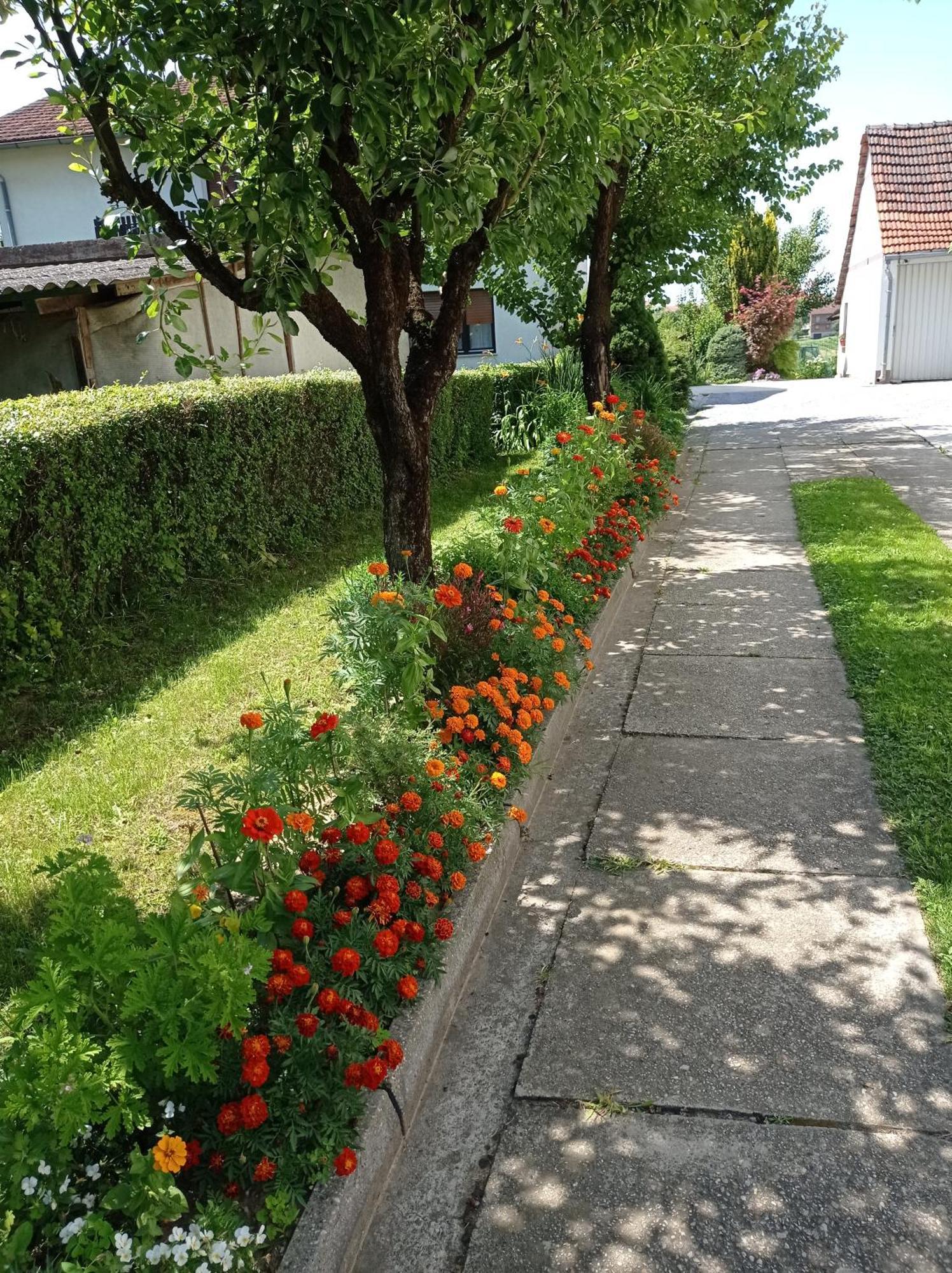 Apartman Skudar Бьеловар Экстерьер фото