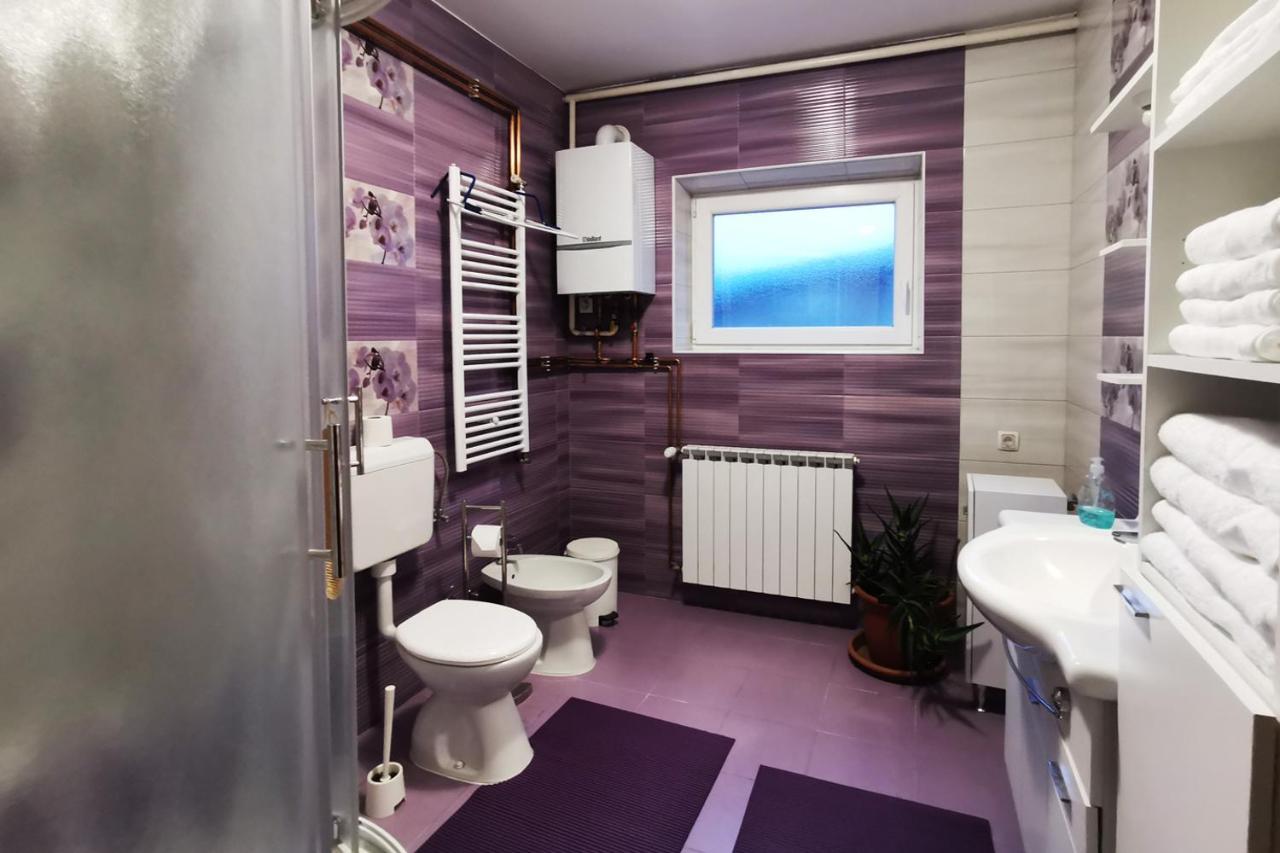 Apartman Skudar Бьеловар Экстерьер фото